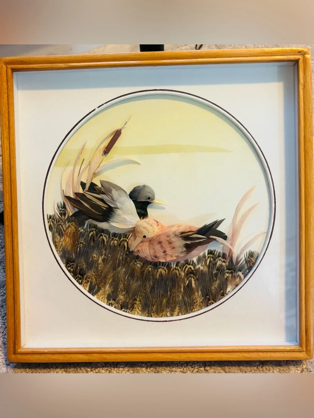 Vintage Mexican Feather Art Framed - Real Feathers Birds in Marsh Reed